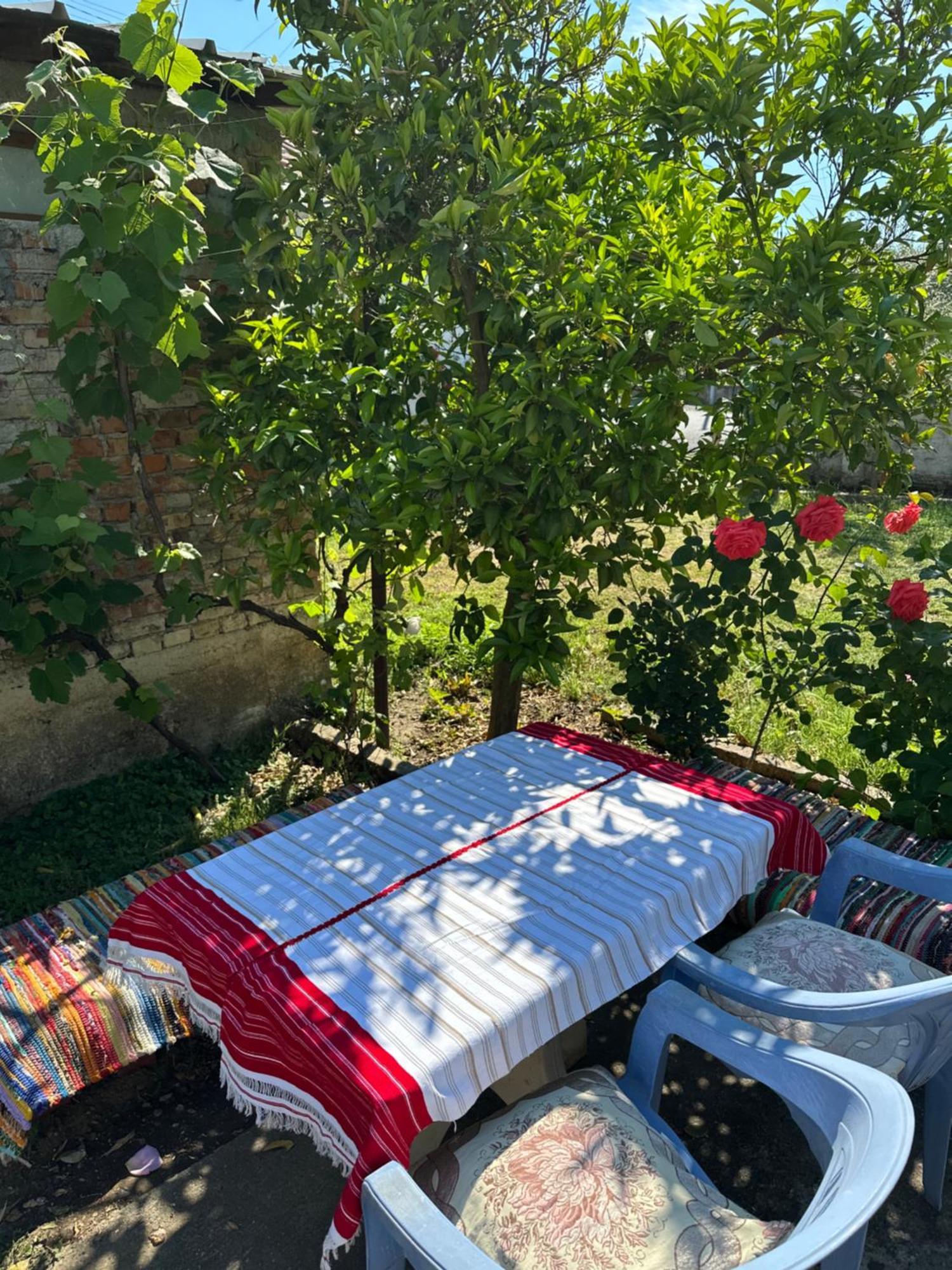 Villa Zefi Rrenc Papaj Zewnętrze zdjęcie